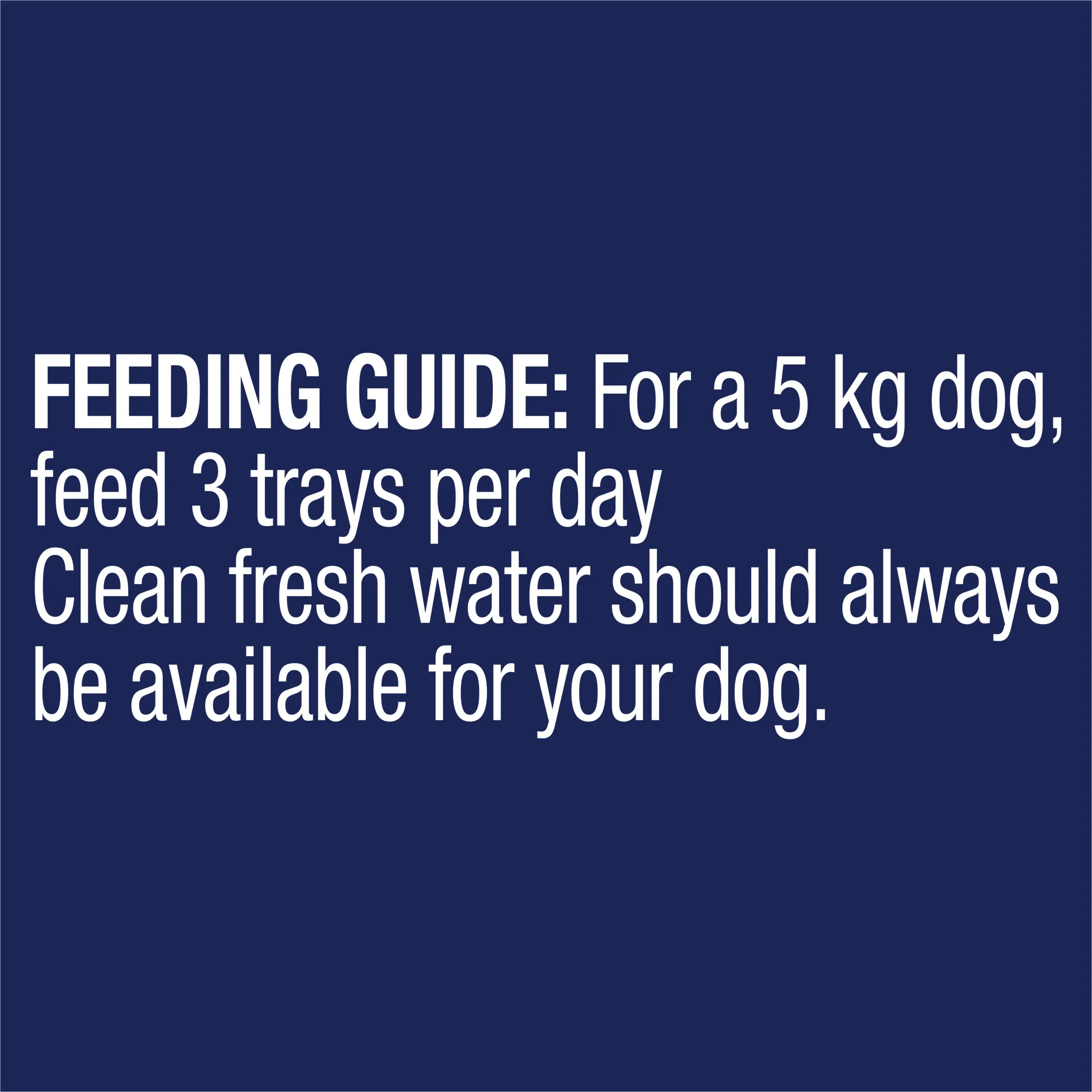 Advance Salmon Oodles Adult Dog Wet Food 100g x 12