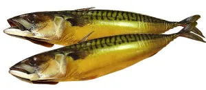 Cold Smoked Norwegian Mackerel 365g