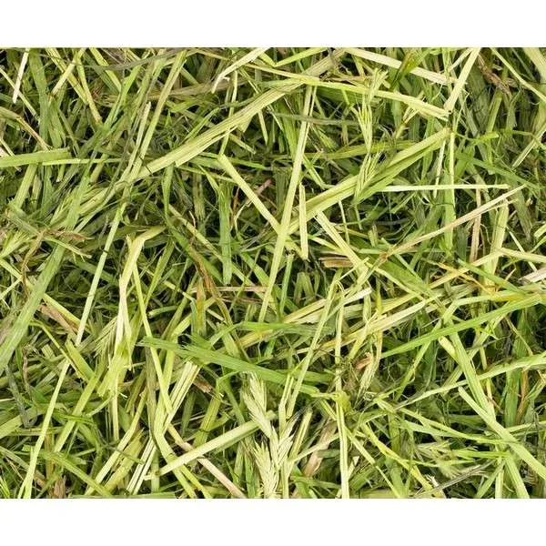 Friendly Readigrass 1kg - Pack of 4