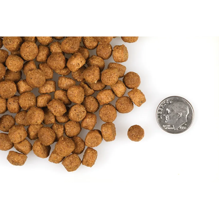 Fromm Gold Large Breed Puppy Dog Food