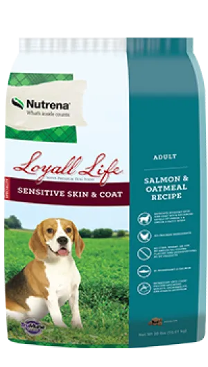 Loyall Life Sensitive Skin and Coat Adult Salmon and Oatmeal Dog Food