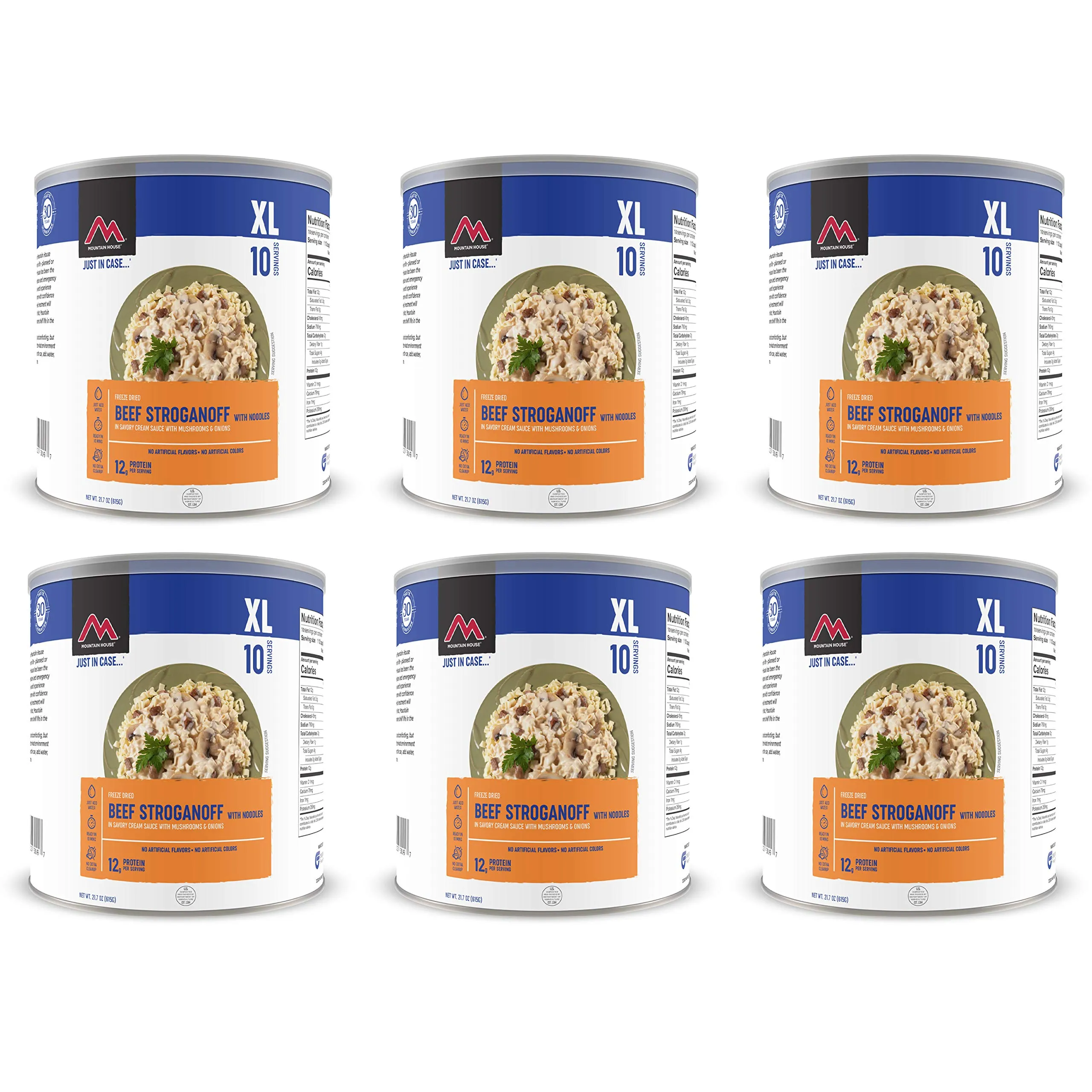 Mountain House - Beef Stroganoff #10 Can - 6 Pack