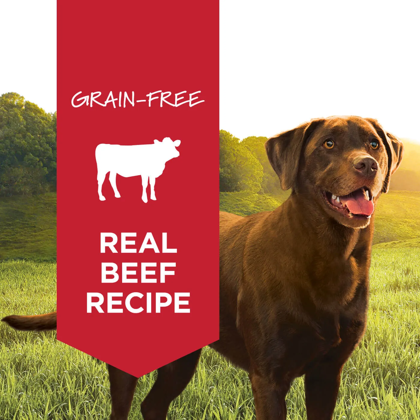 Nature's Variety Grain-Free Instinct Canned Dog Food