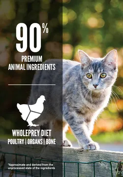 Orijen Cat & Kitten Grain-Free Dry Cat Food