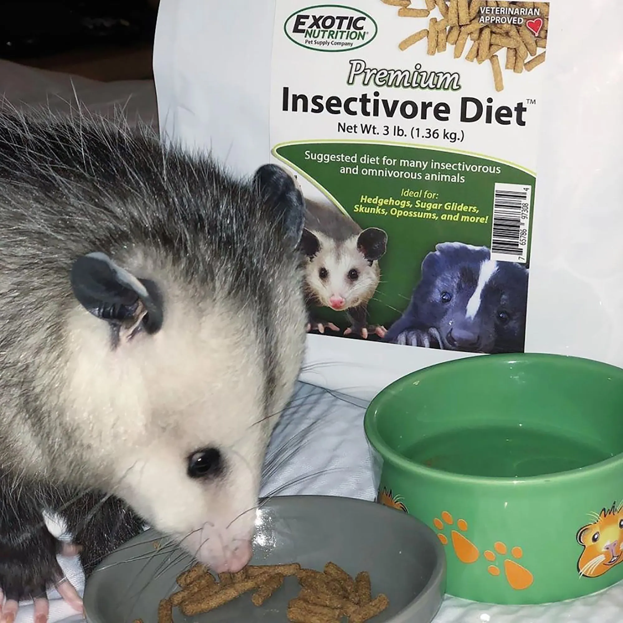 Premium Insectivore Diet Sugar Glider & Hedgehog Food