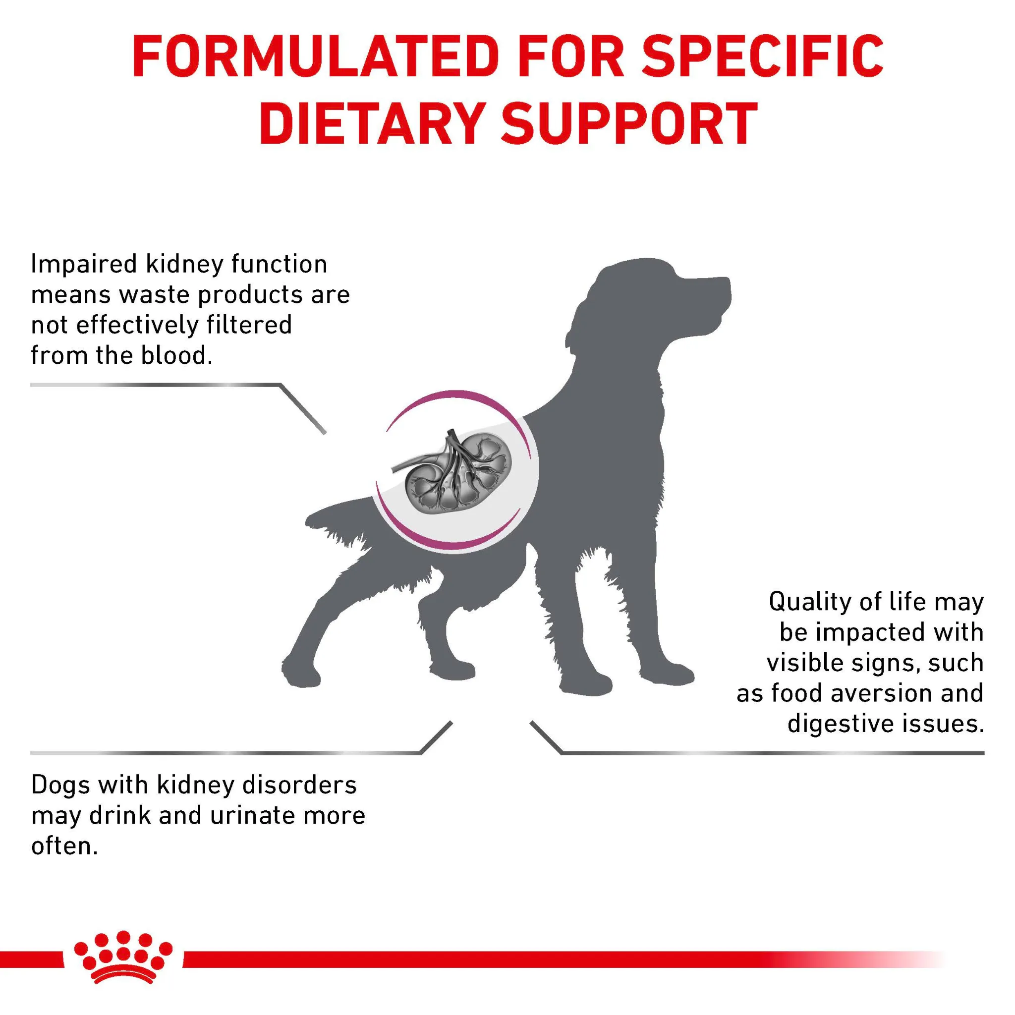 ROYAL CANIN® Renal Adult Dry Dog Food