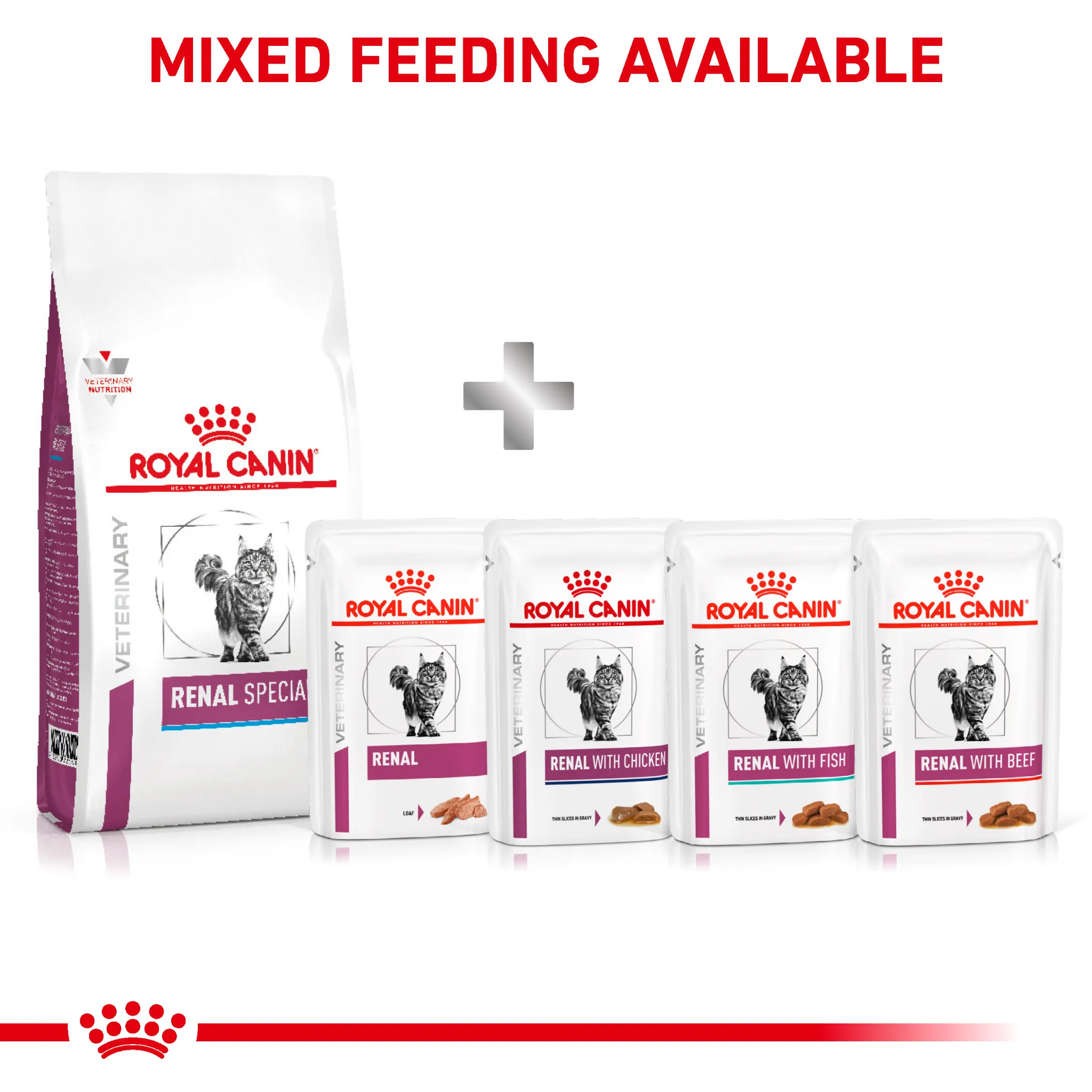 ROYAL CANIN® Renal Special Adult Dry Cat Food