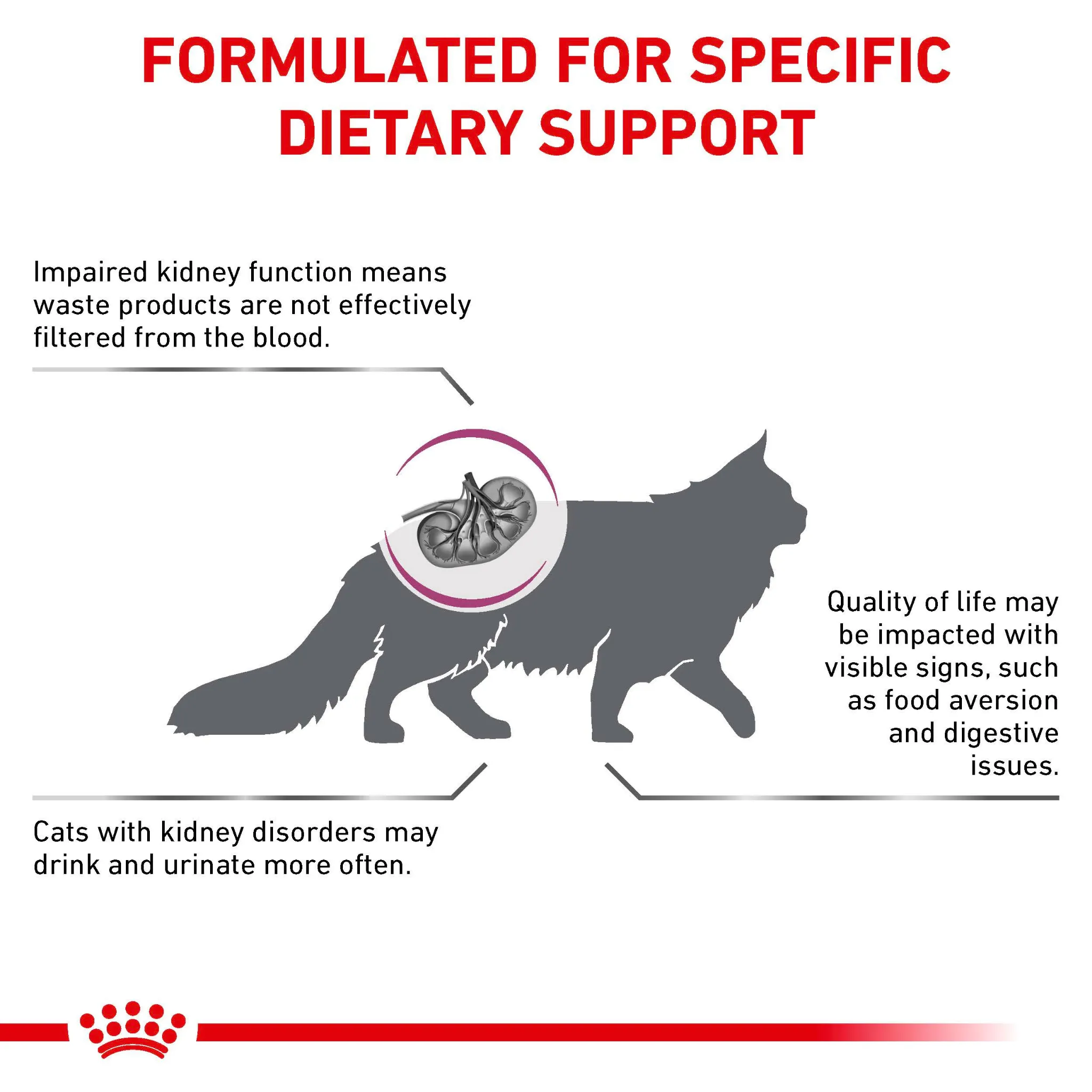 ROYAL CANIN® Renal Special Adult Dry Cat Food