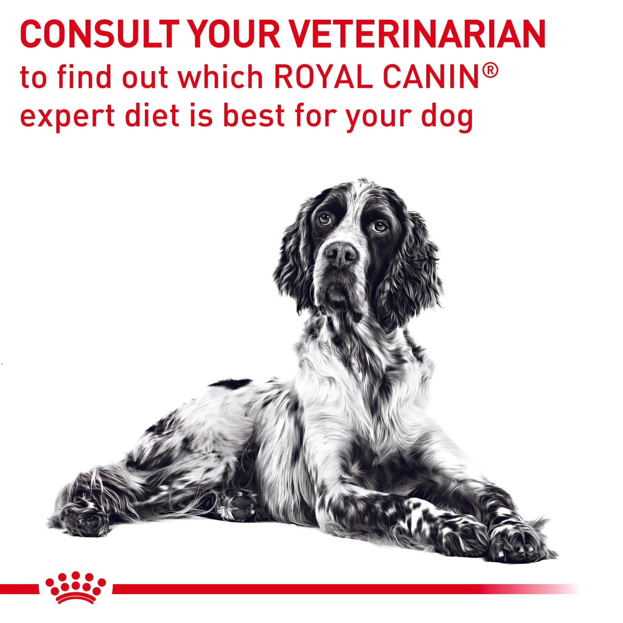 Royal Canin Veterinary Diet Mature Consult Medium Dog Dry Food