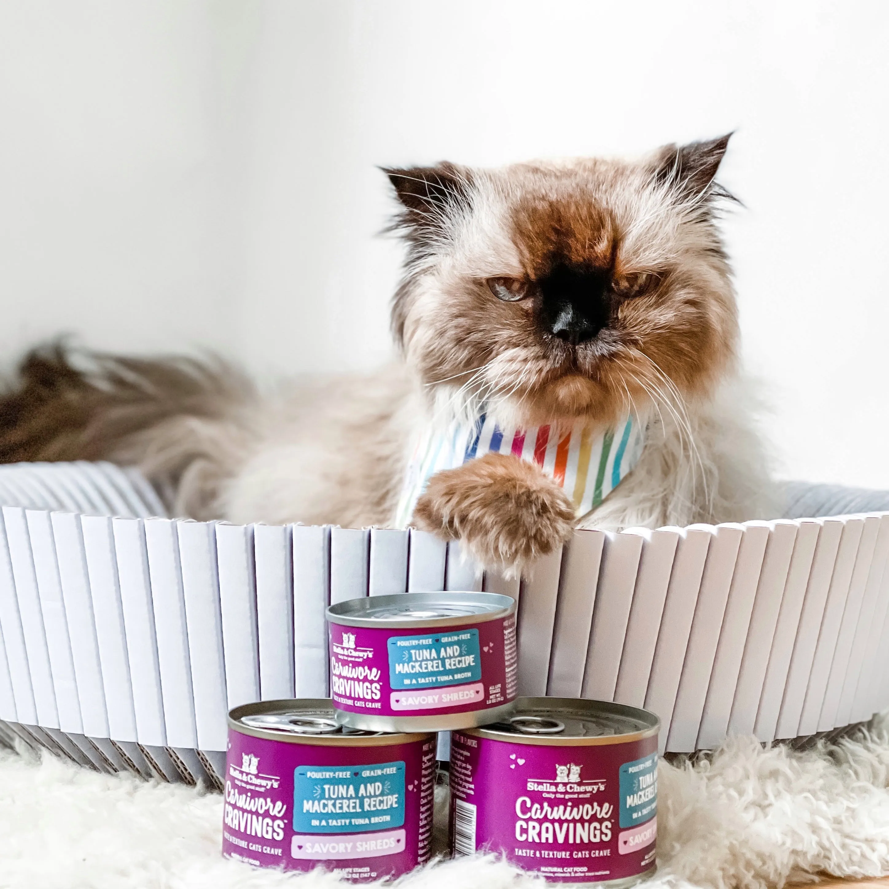 Stella & Chewy's Carnivore Cravings Savory Shreds Tuna & Mackerel Dinner Recipe Wet Cat Food