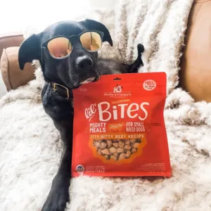 Stella & Chewy's Itty Bitty Beef Lil' Bites Freeze-Dried Dog Food 7 oz