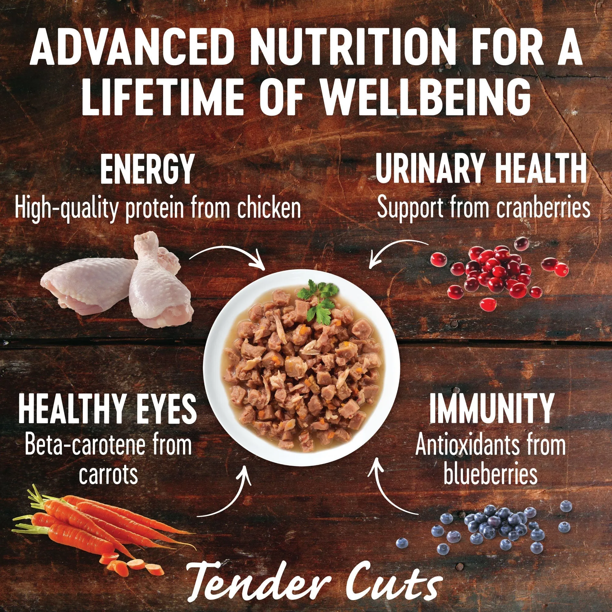 Wellness CORE Tender Cuts with Salmon and Tuna in Gravy Wet Cat Food 85g