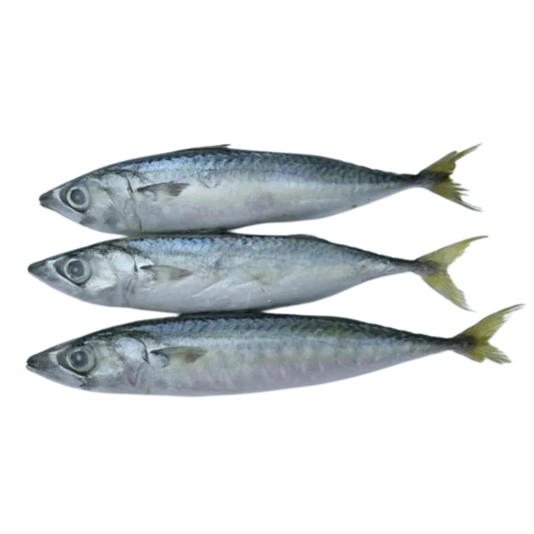 Whole Frozen Mackerel - 1kg